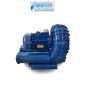 Soffiante Industriale Bronzoni 3,5kW - Alta Efficienza per Processi Industriali