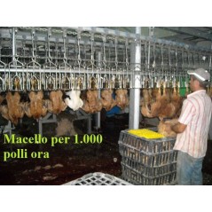 Impianto di macellazione polli da 1.000 capi ora usato